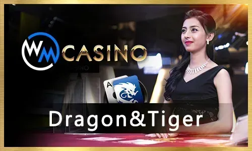 Tips for Winning at Live Casino